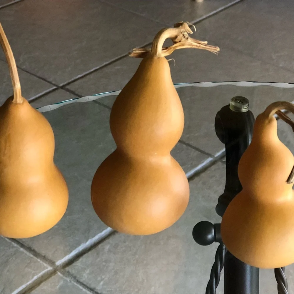Natural Brown Decorative Gourd Accent - Brand Unbranded